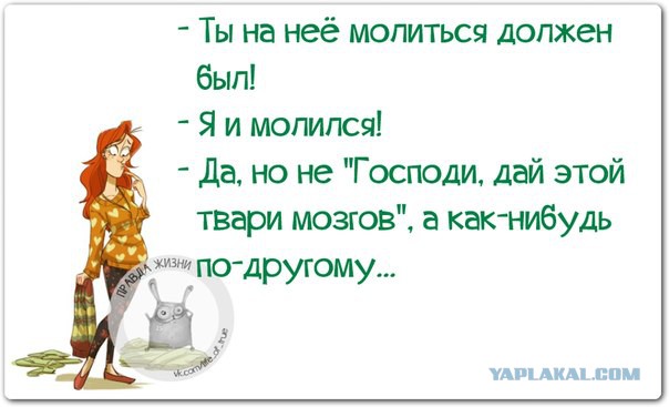 Картинки из этих ваших интернетов