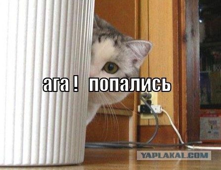В связи с возросшими темами ...
