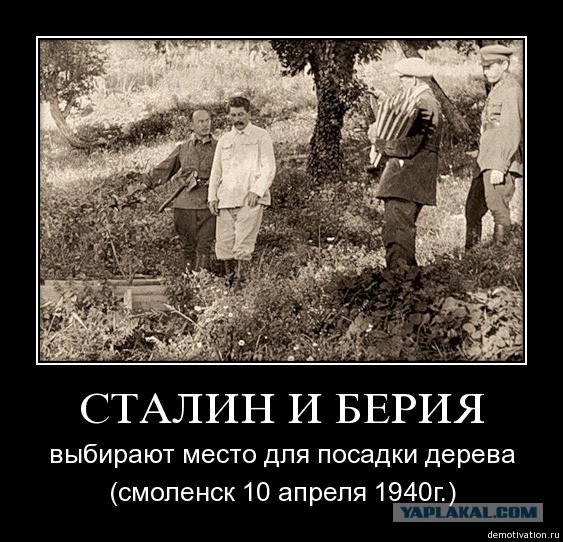 Про самолёт польского президента.
