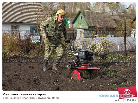 20 кадров, в которых мы невольно узнаём самих себя