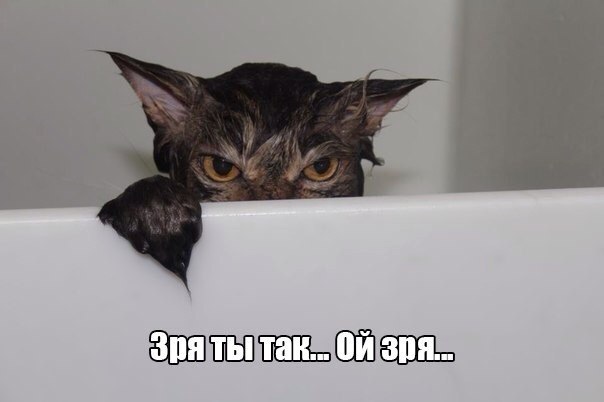 Веселости на пятницу