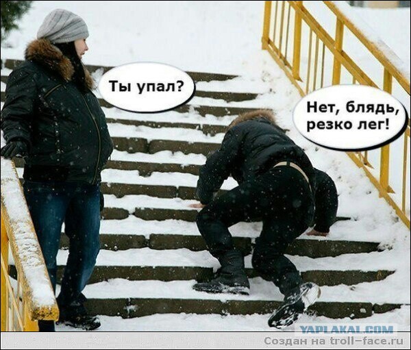 Неуклюжий кот