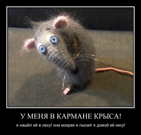 Картинки из сети