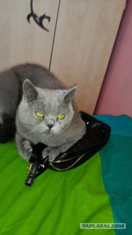 21 гримаса тех, кто не любит рано вставать по утра