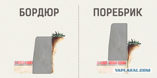 Завалил "бугая"