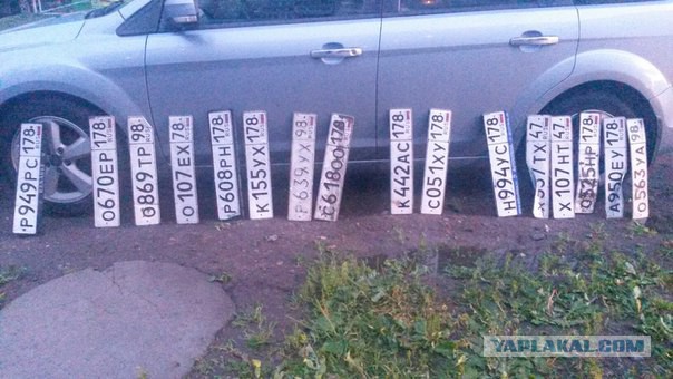 Жители Санкт-Петербурга открыли купальный сезон