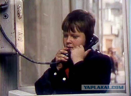 Вот такие таракашки живут в Выхинских подвалах