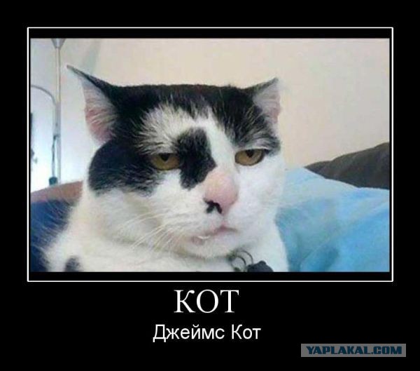 Картинки с просторов на четверг