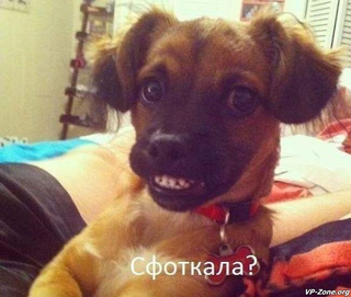 Плюшкиным посвящается