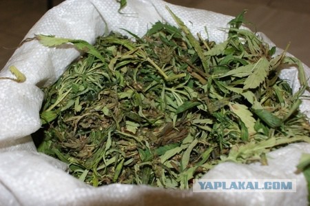 Познавший мироздание