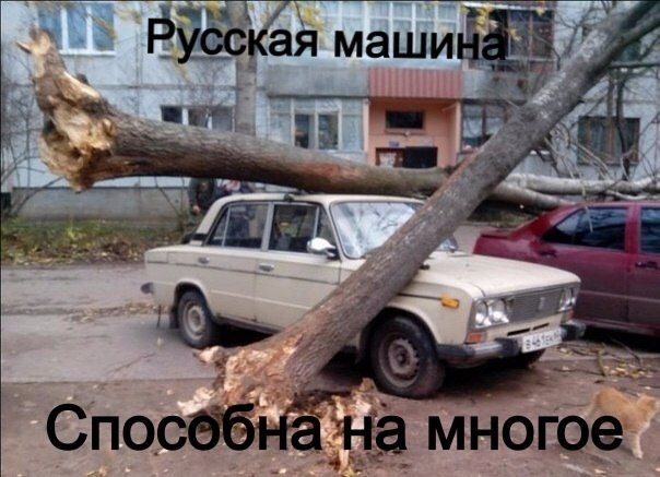 Очередные картинки на субботу