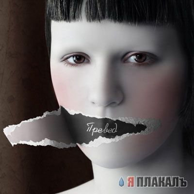 Превед медвед!