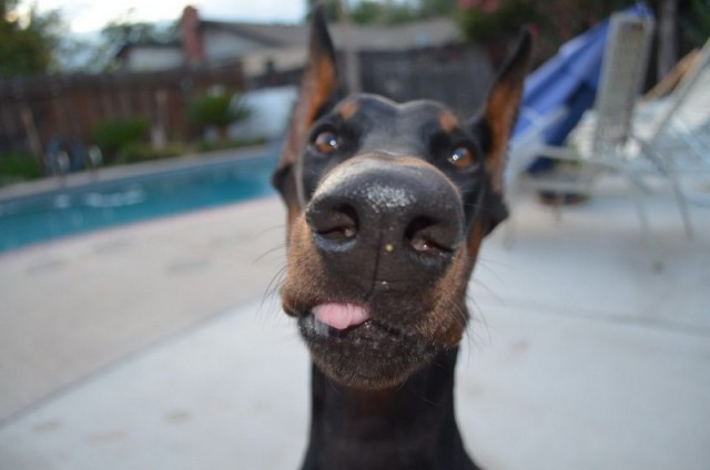 Абсурдный юмор ч.2