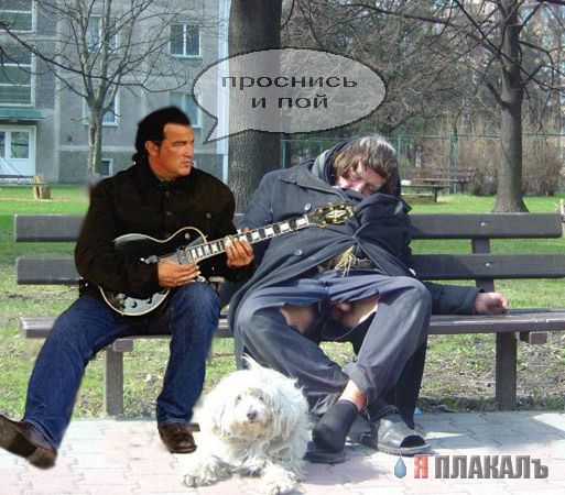 Фотожаба: Стивен Сигал
