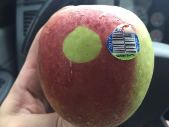 Картинки из ваших интернетов, 18+