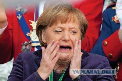 Собакочетвергу посвящается