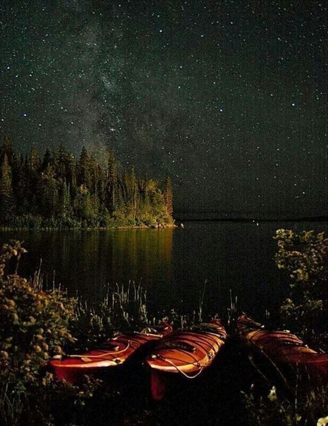 Интересные и веселые картинки