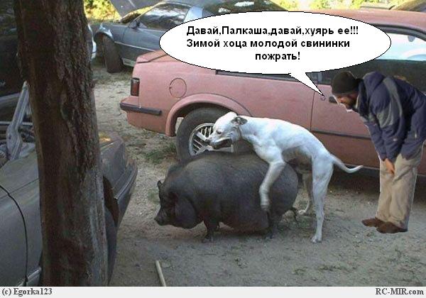 Фотожаба: Полярники окружают!
