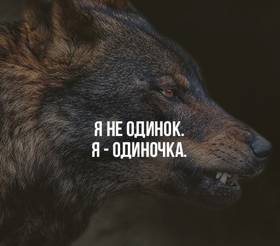Свободный мужчина это...