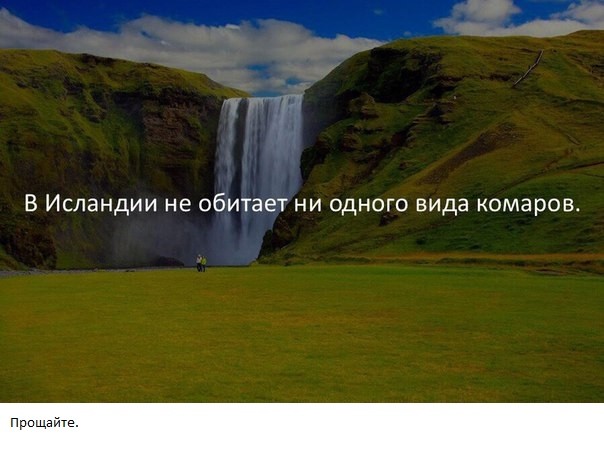 Приколы в стиле "регресс"