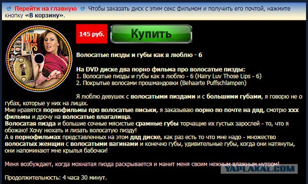 Российский интернет могут замкнуть по китайскому сценарию