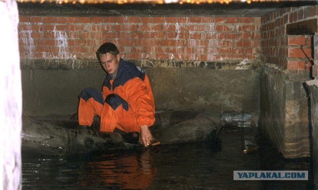 Тихий пруд... внутри дома!