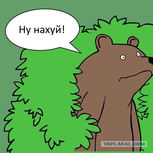 Тренд на самоочевидные надписи