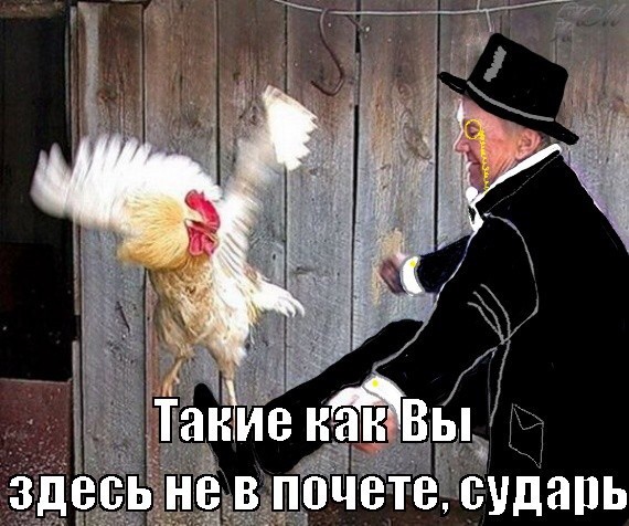 Кого звать, если...