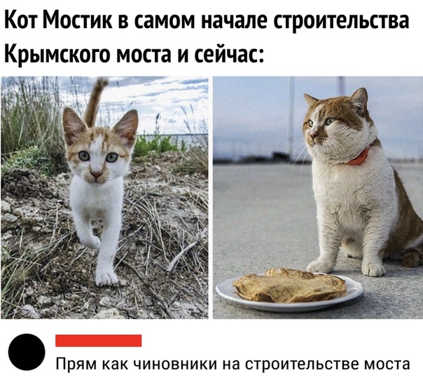 Посмотрите, почитайте, поугорайте, подумайте