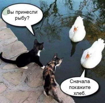 Картинки разные атавсюду. Часть 2