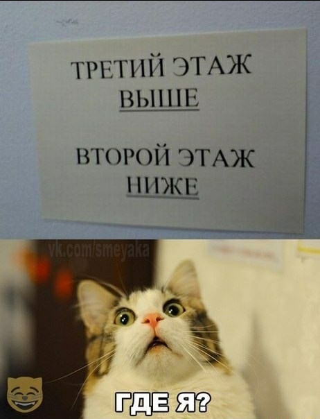 Подборка из этих интернетов