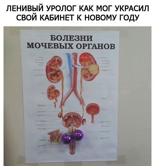 Колючие Муди