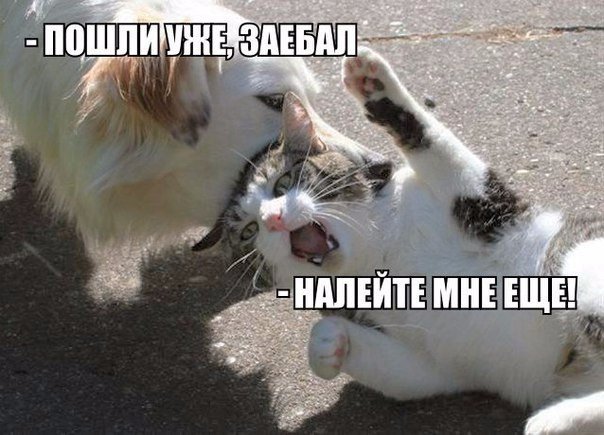 Чуток картинок 25.05.20