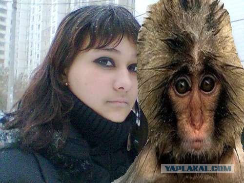 Отжабьте меня пожалуйста