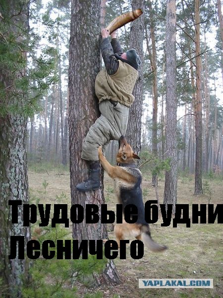 Фотожаба: Охотник и его верный пес