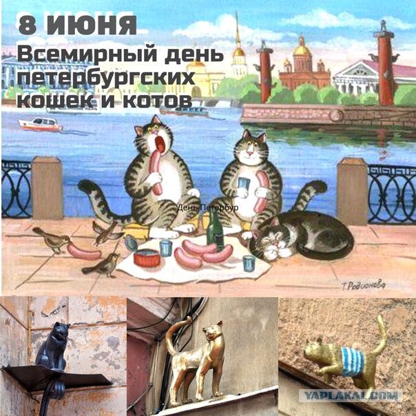 Мужчины, этот пост для вас или тридцать и одна причина, почему мы вас обожаем