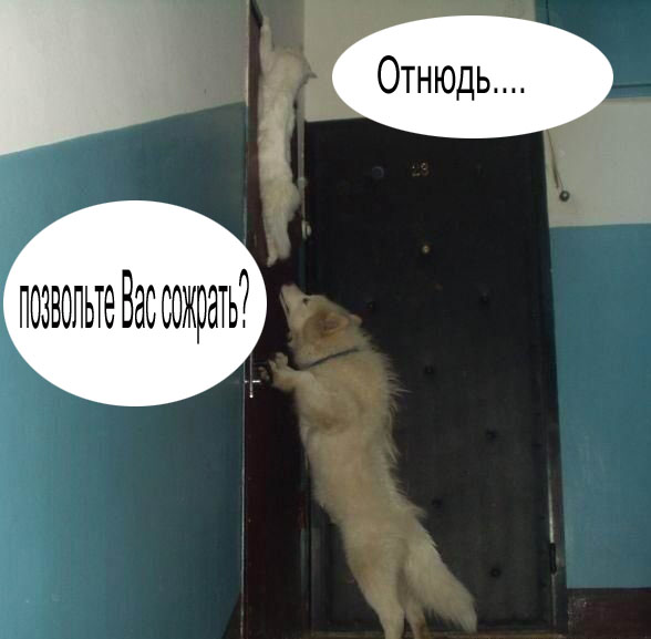 Фотожаба: Загнал сволочь!