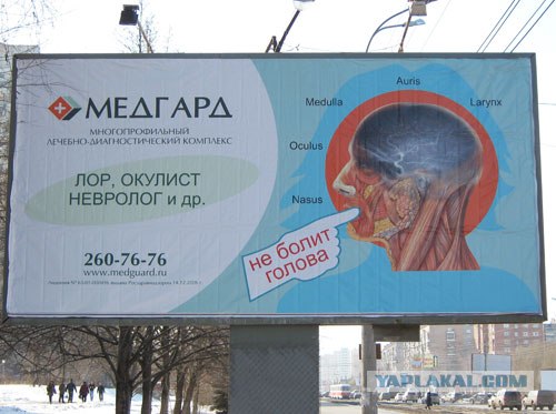 Орган работает! (8 фото)