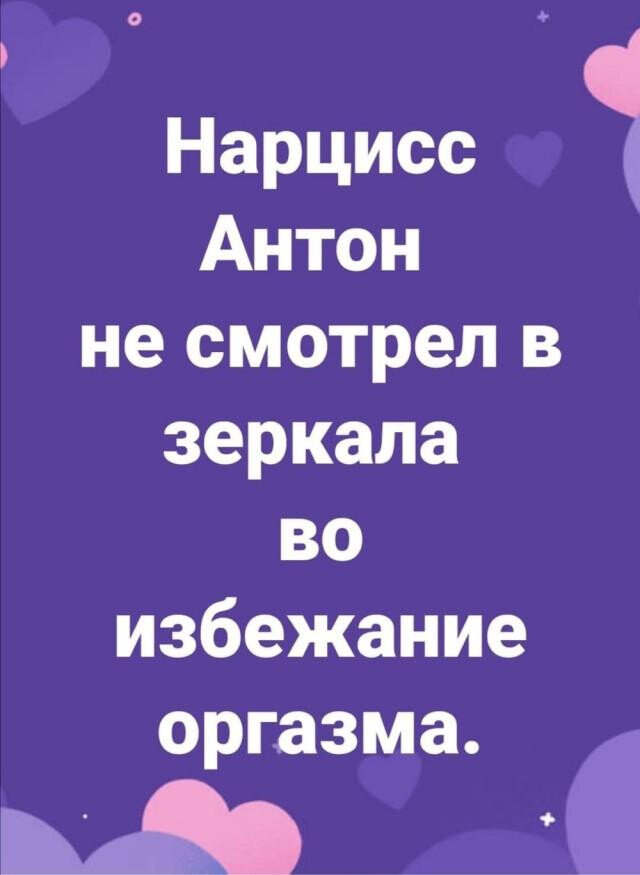 Фотки и картинки: юморные и красивые, забавные и милые 13.11.20