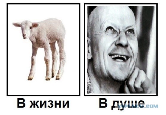 Кто есть кто?