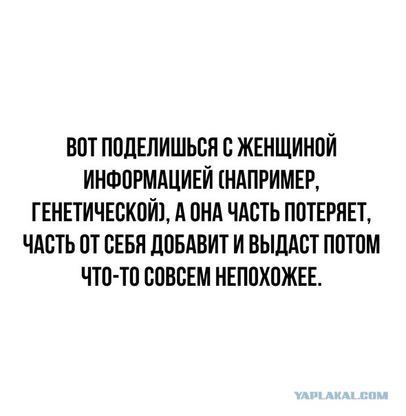 Не понимала, почему Виктор меня мышкой называет, пока не обнаружила целый зоопарк в его телефоне