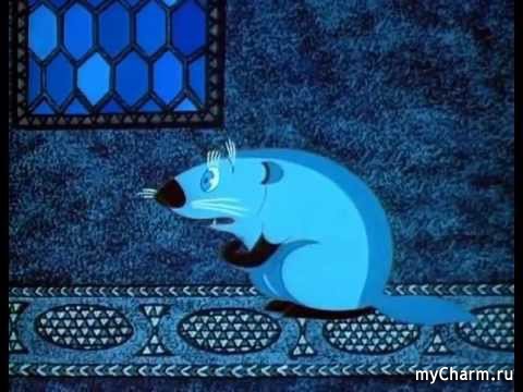 Нападение гигантской крысы на собаку запечатлела жительница Уссурийска