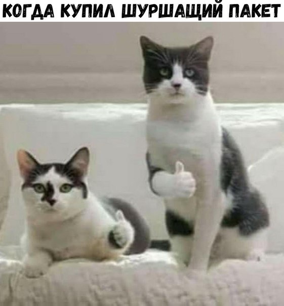 Кретинизмы из KO и KV 30.01.21