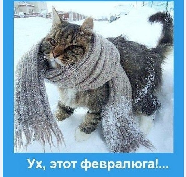 Картинки и мемы для настроения 015