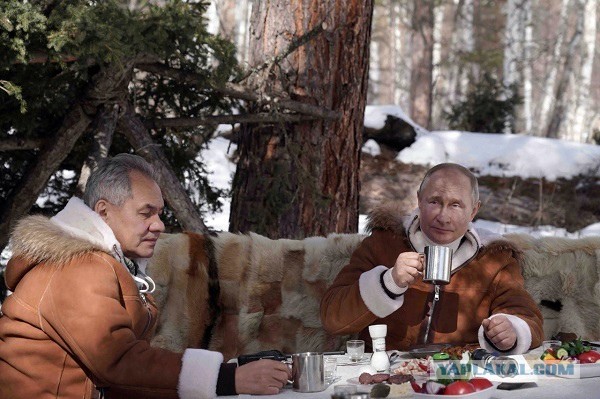 Горбатая тайга