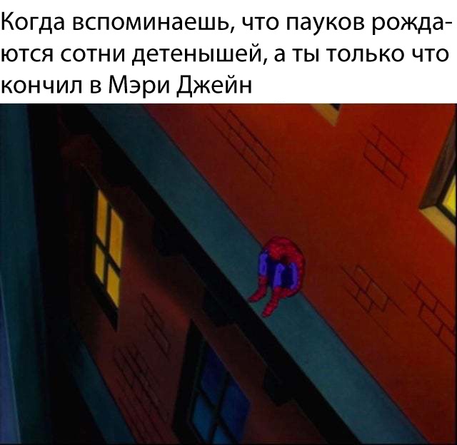 Весёлый полтишок 25.04