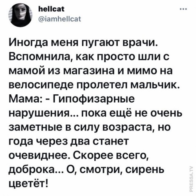 Картинки и мемы для настроения
