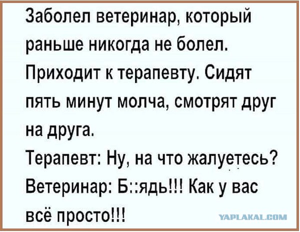 Весёлый полтишок 8.06.21