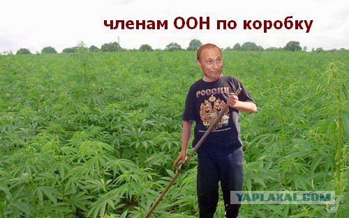 Собирайте бригаду