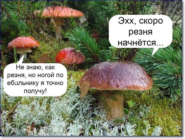 Так себе картинки 04.04.22